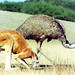 Phillip Rhea Photo 2