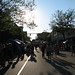 Brenda Noll Photo 21