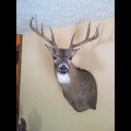 Kevin Weese Photo 24