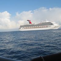 Sharon Arnett Photo 7