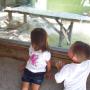 Janice Borden Photo 18
