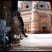 Muhammad Sheikh Photo 27
