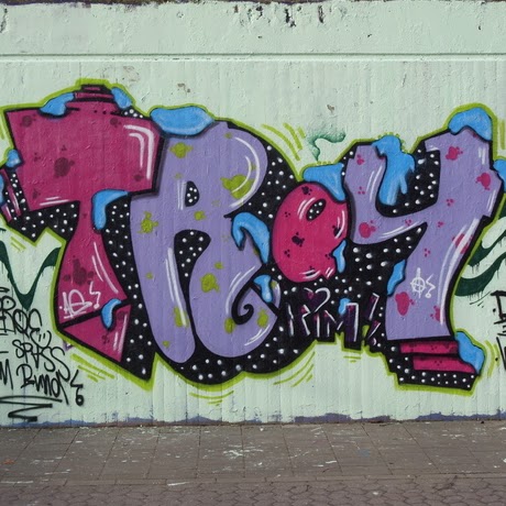 Troy Priest Photo 9