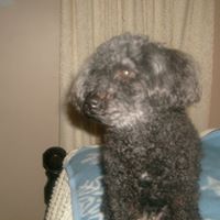 Vickie Cates Photo 23