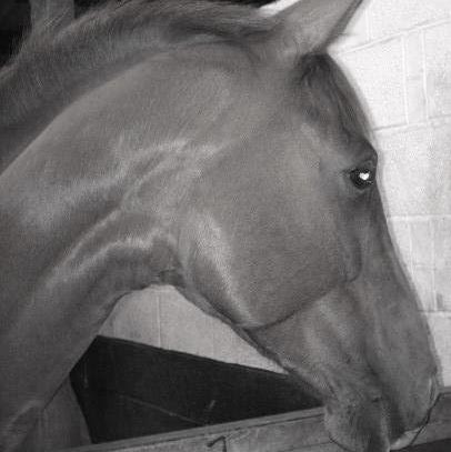 Clare Atkins Photo 3