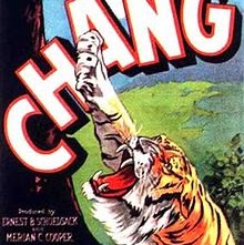 Chang Zhang Photo 7