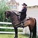 Jayne Cook Photo 17