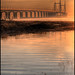 Dawn Cross Photo 17
