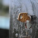 Paul Ramirez Photo 14