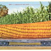 Edward Mitchell Photo 40
