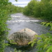 Mary Branch Photo 13