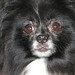 Earnest Mims Photo 4