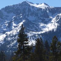 Marcy Roberts Photo 15