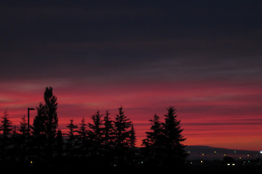 Kathy Armstrong Photo 29