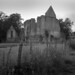 Richard Lovell Photo 20