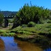 Dawn Horton Photo 20