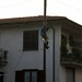 Tom Roby Photo 21