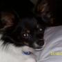 Carole Myers Photo 36