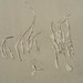 Sandy Wier Photo 10