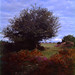 Holly Heath Photo 11