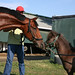Bill Haskell Photo 12