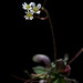 Frances Grass Photo 8