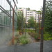 Geneva Parks Photo 2