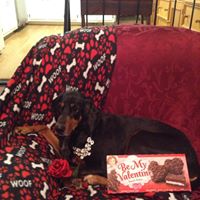 Deborah Boggs Photo 12