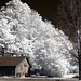 Bruce Mills Photo 17