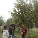 Debra Apple Photo 13