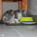 Valerie Sanders Photo 34
