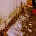 Rebecca Wicks Photo 23