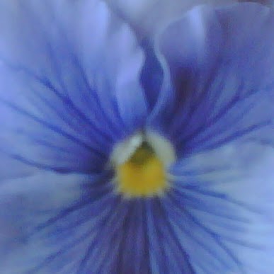 Sheila Gray Photo 41