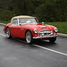 Richard Healey Photo 38