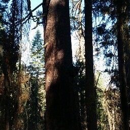 Daryl Peters Photo 30