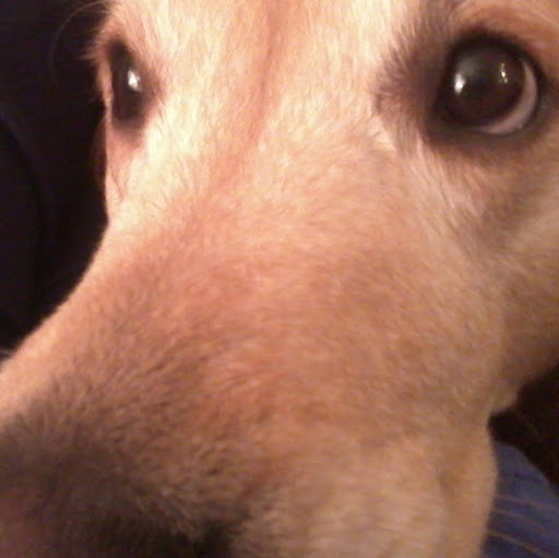 Sally Crocker Photo 8