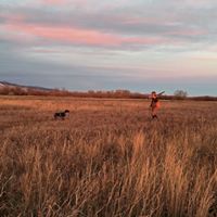Spencer Nelson Photo 10