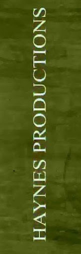 Tamara Haynes Photo 11