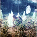 Katherine Hedges Photo 9