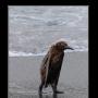 George Culp Photo 9