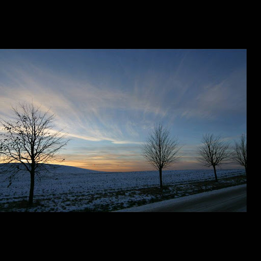 Marc Gruber Photo 25