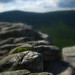 James Tibbets Photo 6