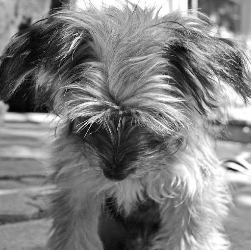 Nancy Byers Photo 31