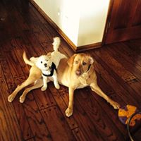 Susan Rose Photo 30