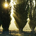 Dawn Hawkes Photo 8