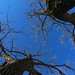 Jackie Laws Photo 16
