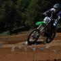 Darrell Hamilton Photo 19