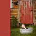 Cale Nelson Photo 8