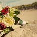 Amy Stephens Photo 25