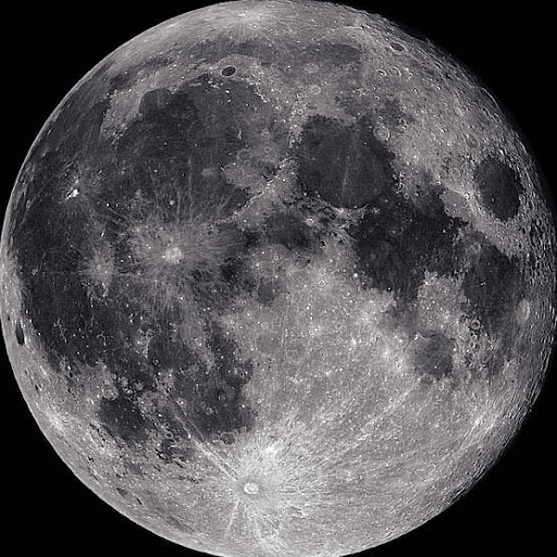 Barbara Moon Photo 29